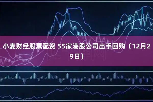 小麦财经股票配资 55家港股公司出手回购（12月29日）